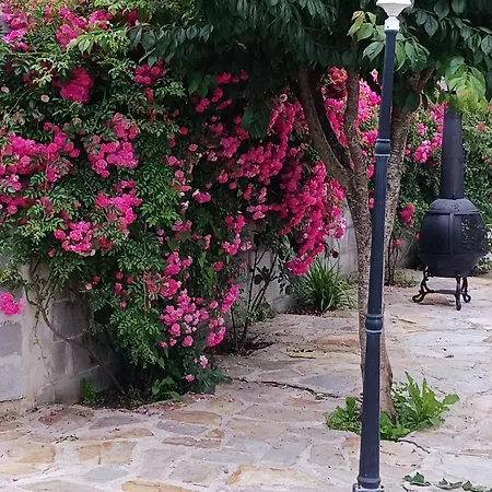 Cozy Holiday In Villanueva In A Charming Area *